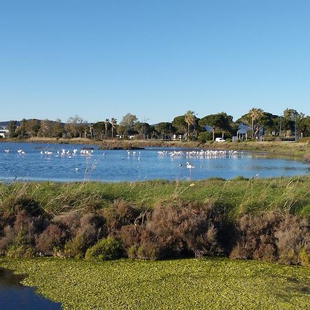 Le Surplage Hyères Dış mekan fotoğraf