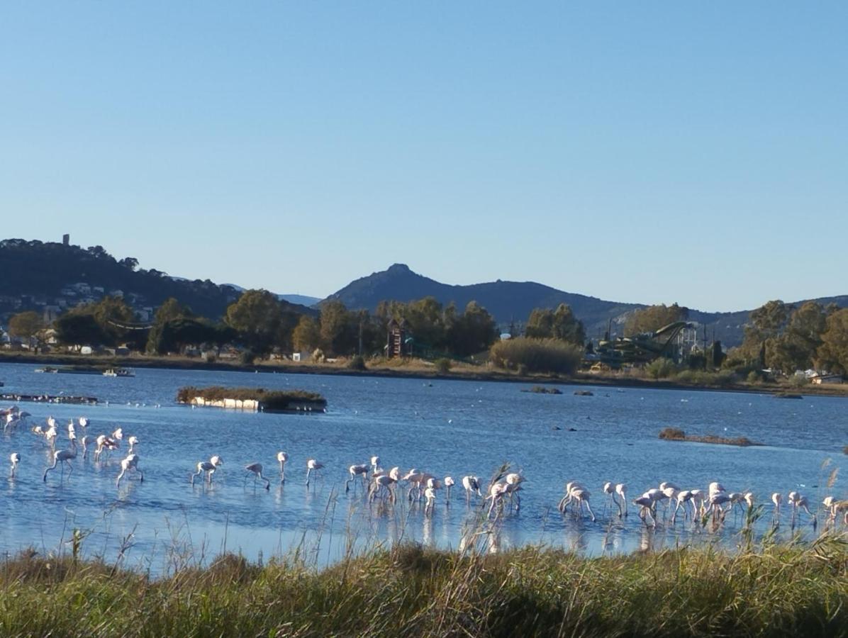 Le Surplage Hyères Dış mekan fotoğraf