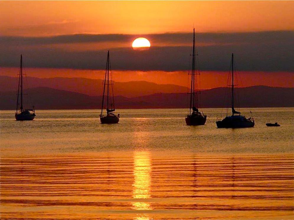 Le Surplage Hyères Dış mekan fotoğraf