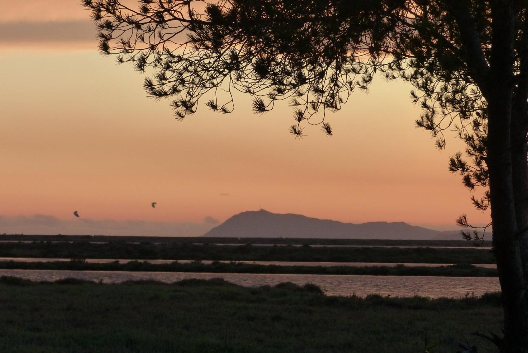 Le Surplage Hyères Dış mekan fotoğraf
